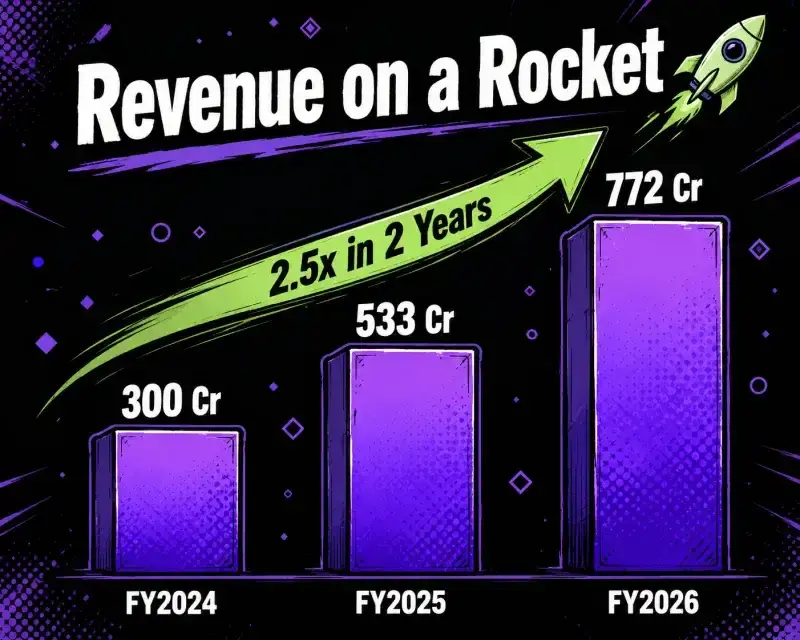 Fineotex revenue growth Fineotex revenue growth