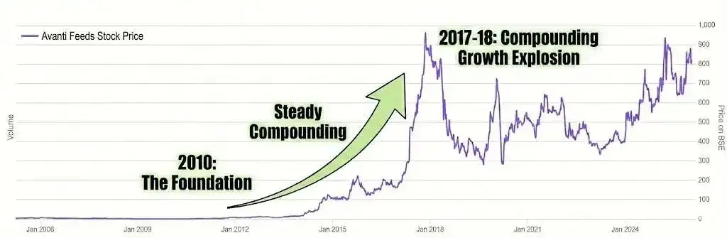 Avanti feeds chart
